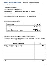 Papstinensers regnskab 2020-2021